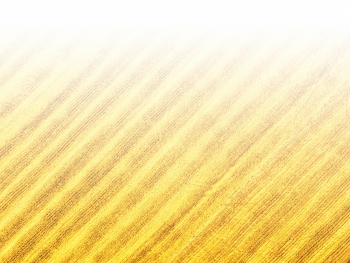 智能農(nóng)機(jī)、“訂單”服務(wù)、“云端”種菜——來(lái)自江西的春耕“新事”